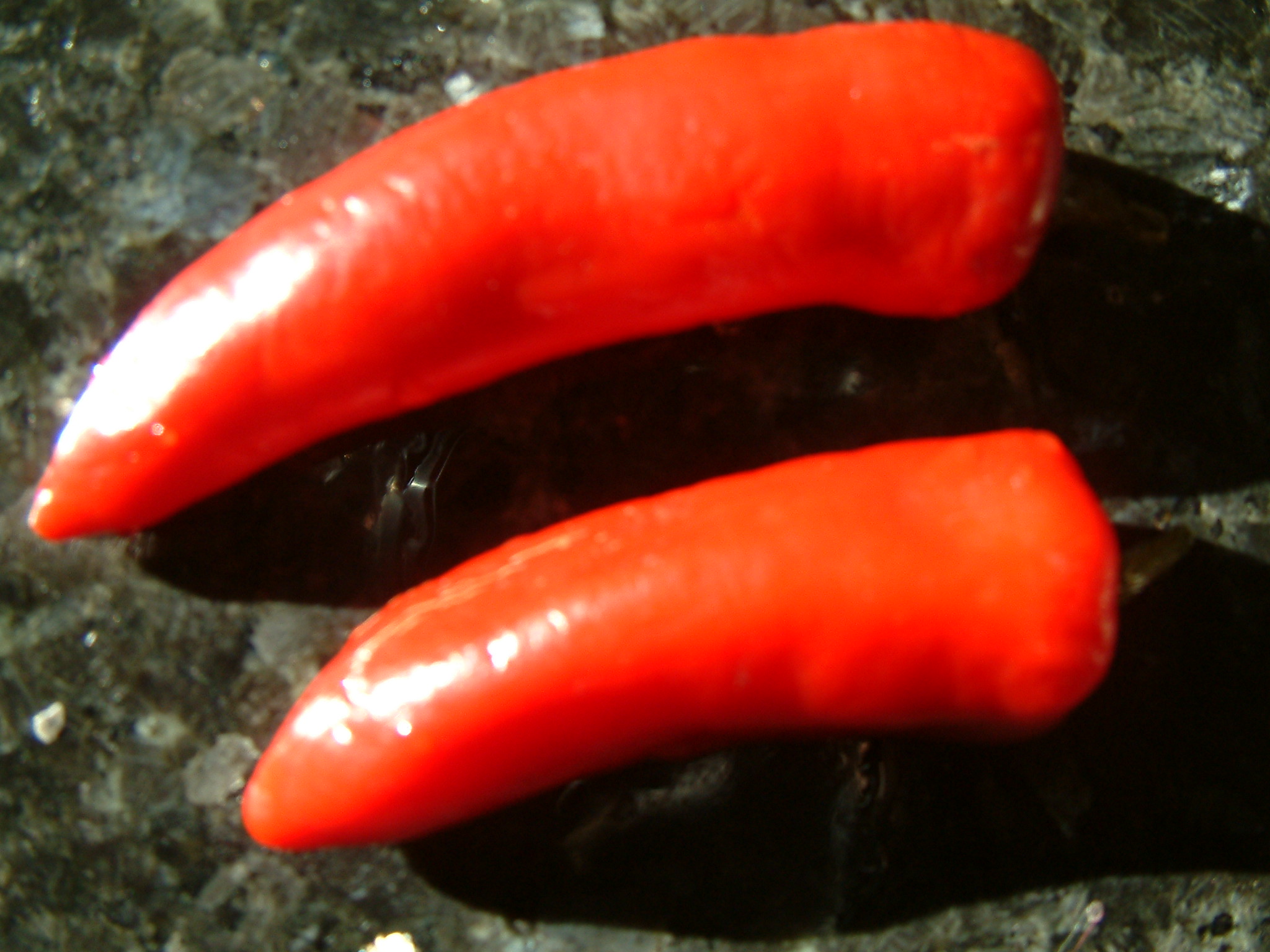 Bespoke herbs in veg glycerol - Image 3