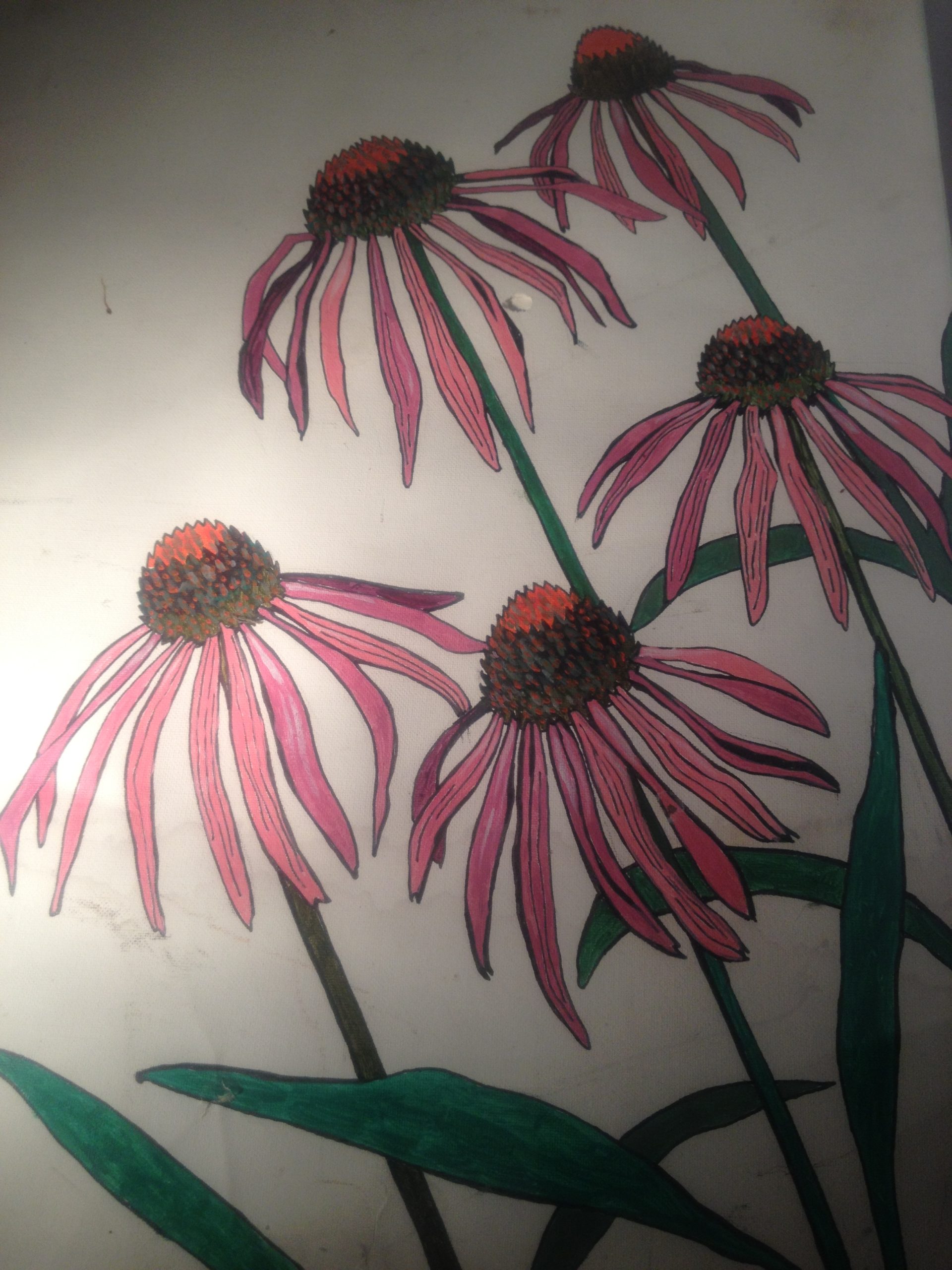 Echinacea in veg glycerol - Image 2